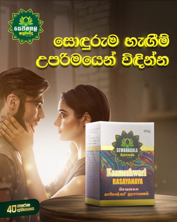 Kameshwari Rasayanaya - Image 2