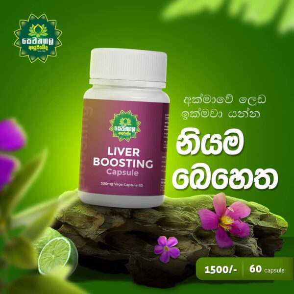 LIVER BOOSTING Capsule - Image 4