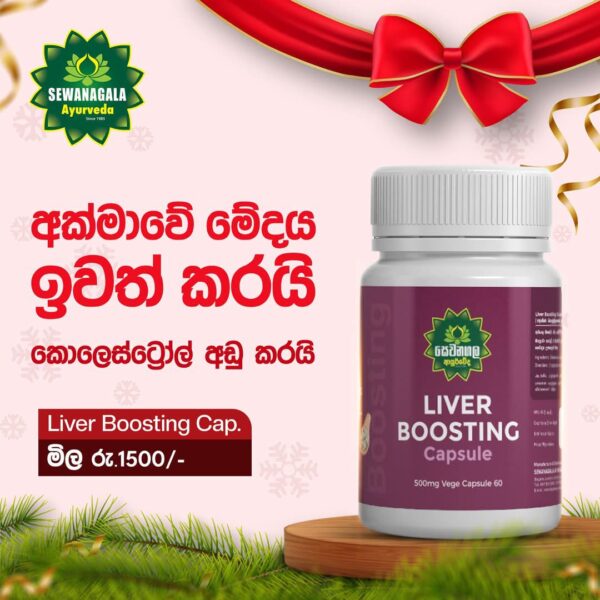 LIVER BOOSTING Capsule - Image 3