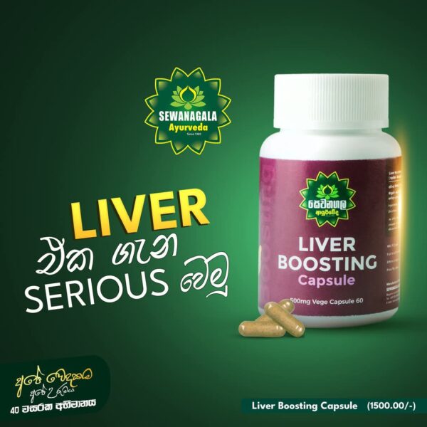 LIVER BOOSTING Capsule - Image 2