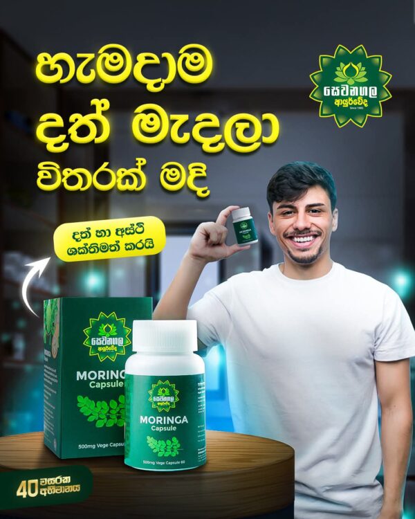 MORINGA Capsule - Image 2