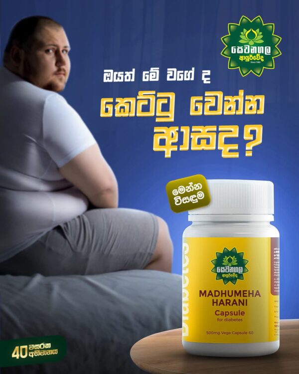 MADHUMEHA HARANI Capsule for diabetes - Image 4